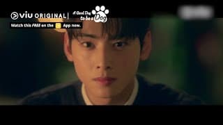 Will Cha Eun Woo Kiss the Dog Version of Park Gyu Young? [ENG SUB]