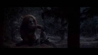 TV Spot 14
