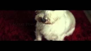 27, Memory Lane - Trailer (2014)