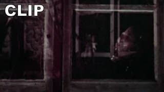 TV Spot