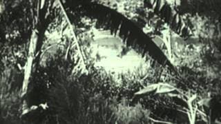 Tarzan the Fearless (1933) - Trailer