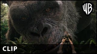 Kong and Jia Clip