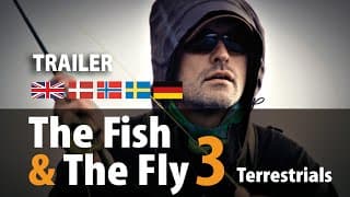 The Fish & The Fly 3 Terrestrials