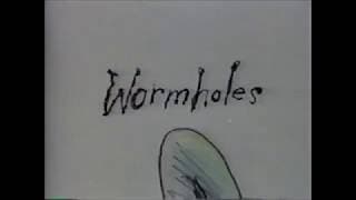 Stephen Hillenburg - Wormholes