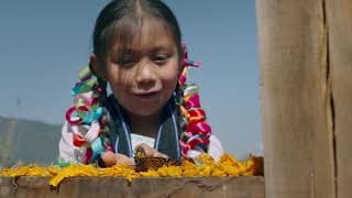 "Day of the Dead" (Ep.1)