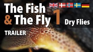 The Fish & The Fly 1 Dry Flies