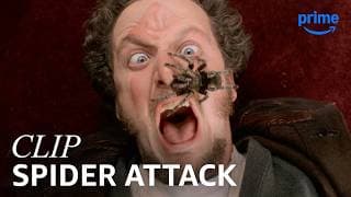 Marv’s Spider Scream