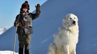 BELLE & SEBASTIAN | Trailer & Filmclips german deutsch [HD]