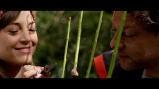 THE FOOD GUIDE TO LOVE - Trailer Official English