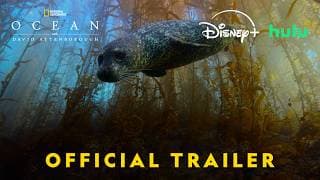 Official US Trailer