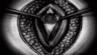 Philosophy Of A Knife (2008) Trailer