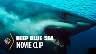 Shark Escape