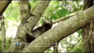 Richard Hammond's Jungle Quest promo