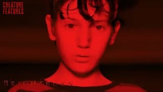 The Meteor Calls To Brandon