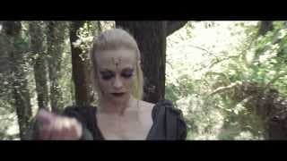 The Dragonphoenix Chronicles: Indomitable - TV SPOT [HD]