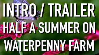 Trailer/Intro - Half a Summer on Waterpenny Farm