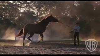 Something to Talk About - Original Theatrical Trailer