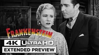 Elizabeth Worries About Dr. Frankenstein