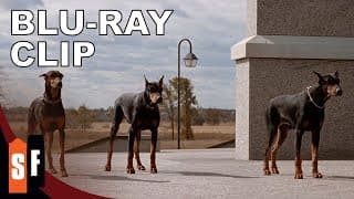 Release The Hounds