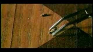 MOUSEHUNT Preview Trailer