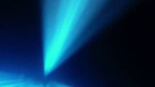 Cenote // Trailer