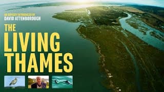 The Living Thames Directors Cut