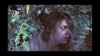 The Desires of Dawn Trailer