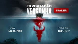 Trailer oficial - Exportação Vergonha: Documentário sobre a exportação de animais vivos