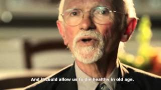 Trailer "Food ReLOVution" by Thomas Torelli - sub ENG