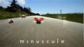 Minuscule - Spot TV