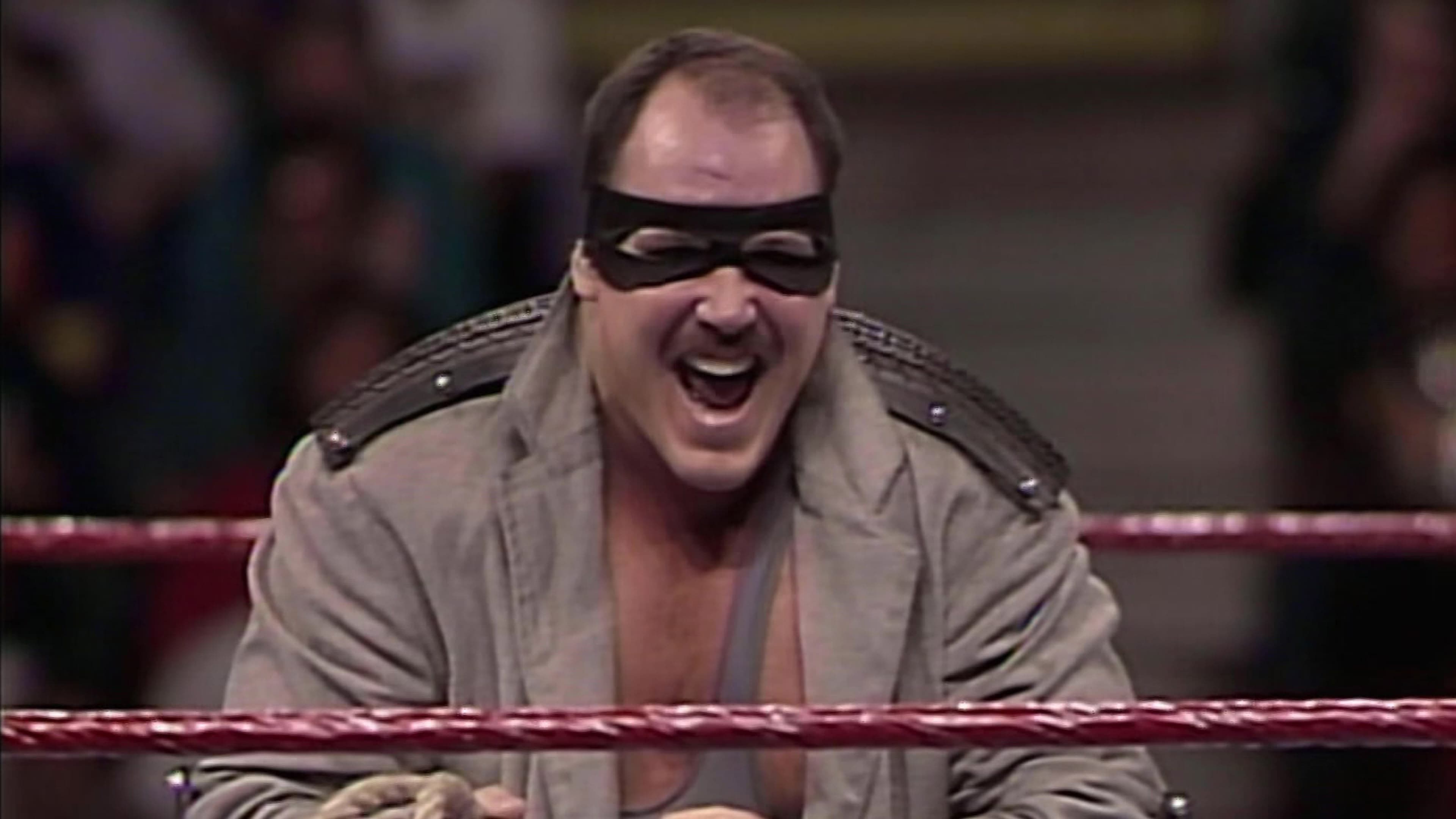 WWE WrestleFest '93 backdrop