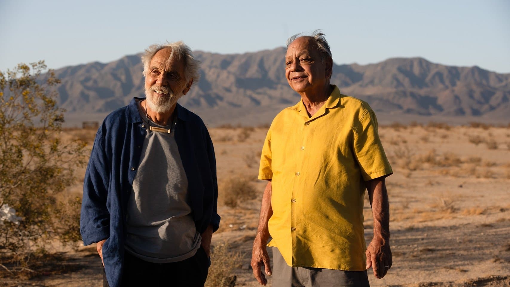 Cheech & Chong's Last Movie backdrop