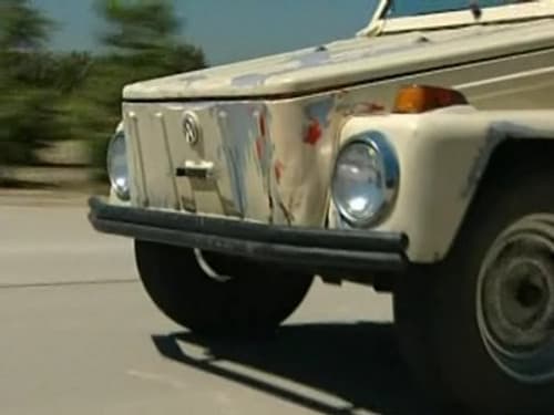 Erin's Volkswagen Thing