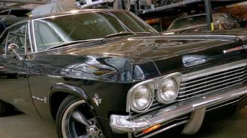 Night Prowler