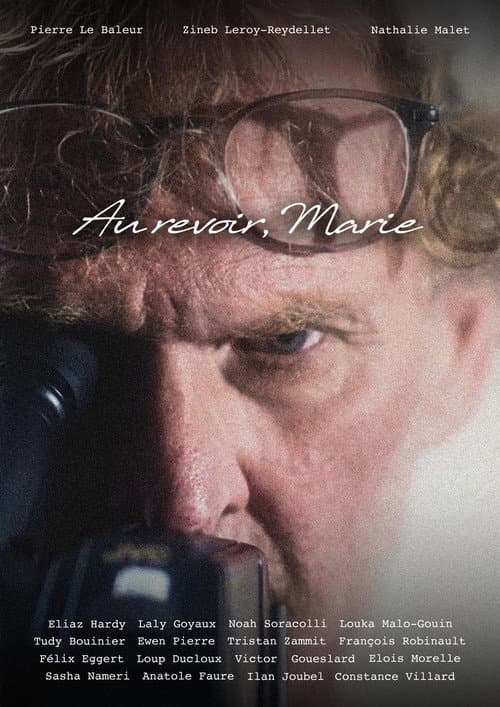 Au Revoir, Marie poster