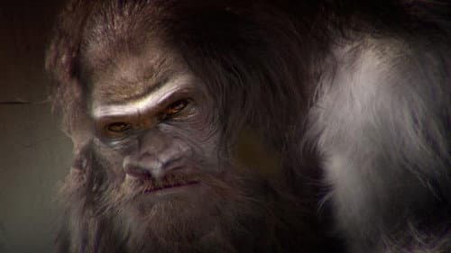 Aliens and Bigfoot