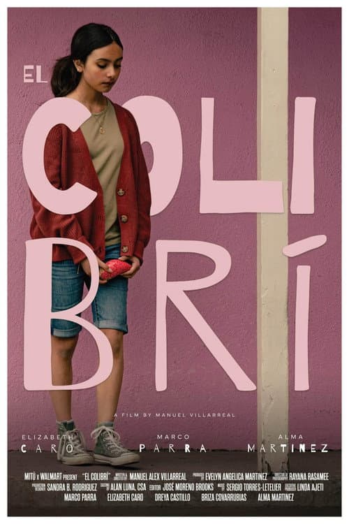 El Colibrí poster