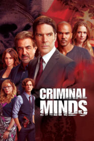 Criminal Minds: Season 10