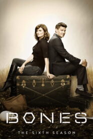 Bones: Season 6