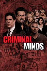 Criminal Minds: Season 8